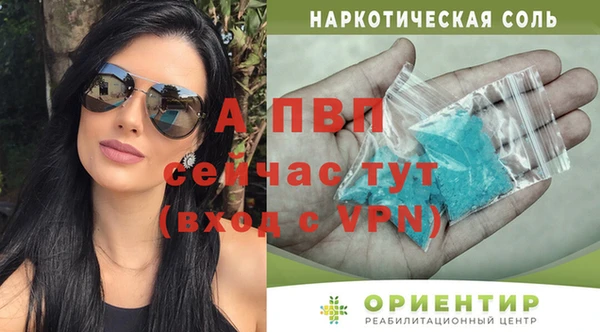 шишки Сосновка