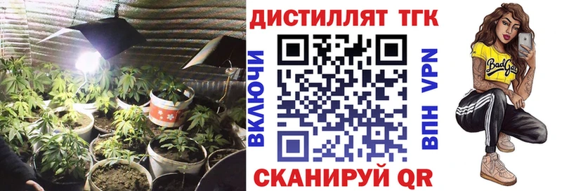 mega как войти  хочу наркоту  Ржев  ТГК жижа 