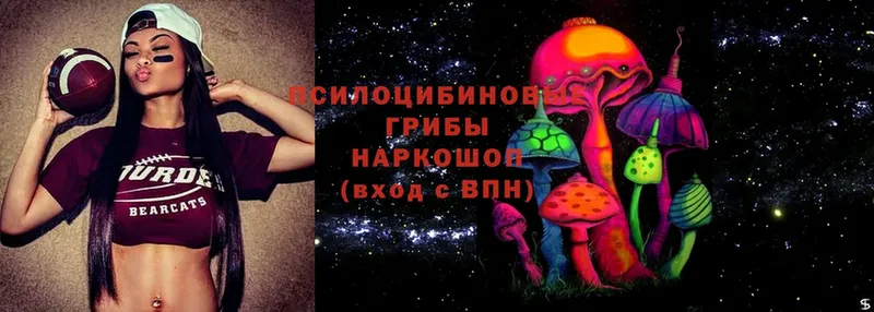 Псилоцибиновые грибы MAGIC MUSHROOMS Ржев