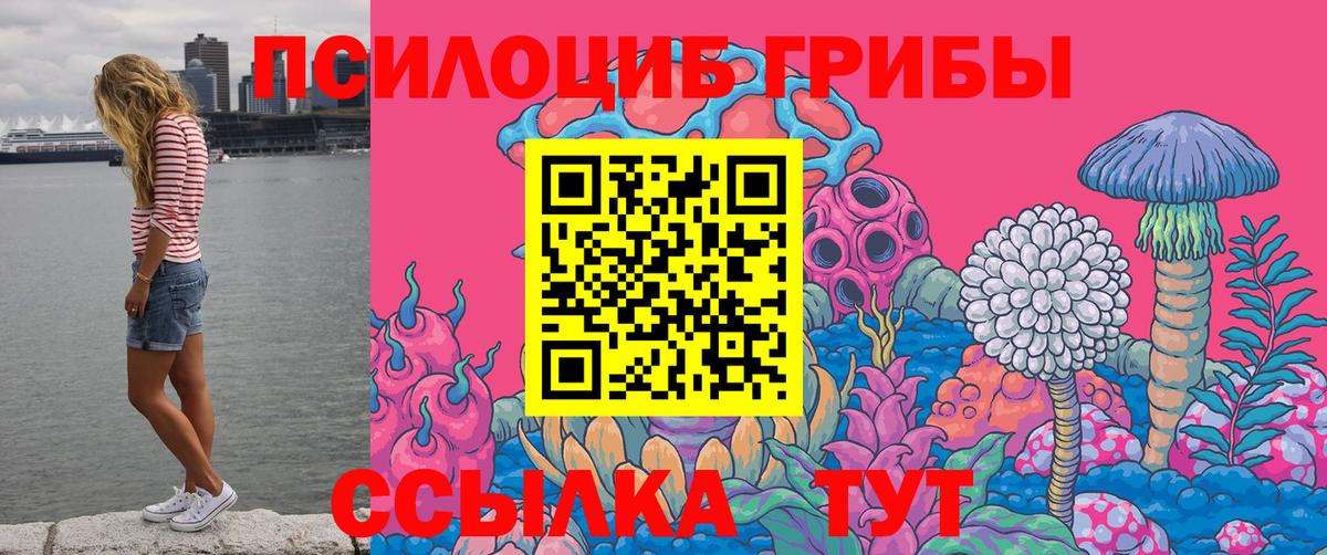 даркнет сайт  Галлюциногенные грибы Psilocybine cubensis  Вход с VPN  Ржев 